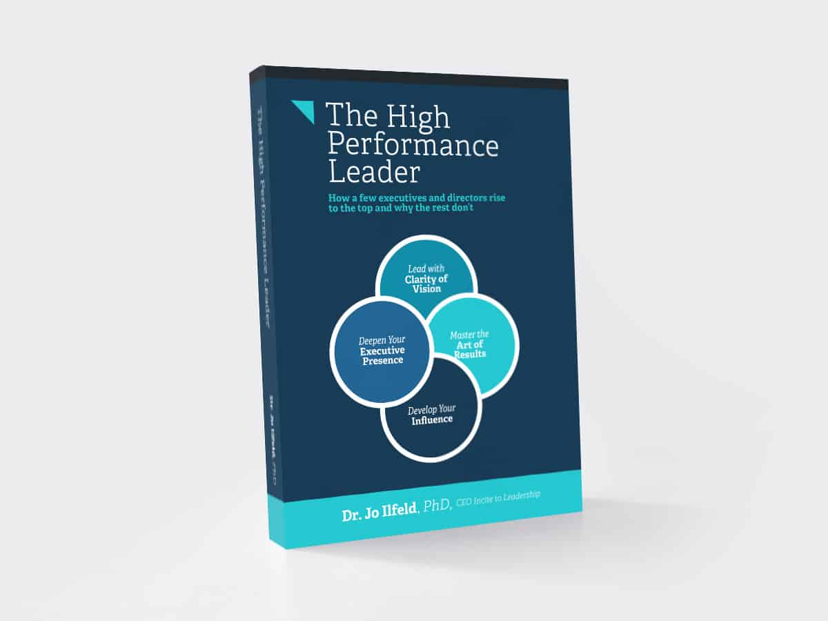 Photo of e-book - The High Performance Leader