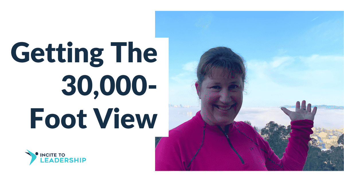 Jo Ilfeld |Executive Leadership Coach |Getting the 30,000-Foot View