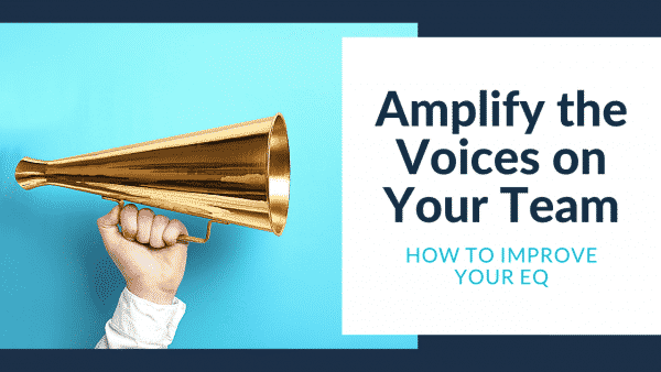 Jo Ilfeld | Emotional Intelligence | Executive Leadership Coach |Amplify Voices on Your Team