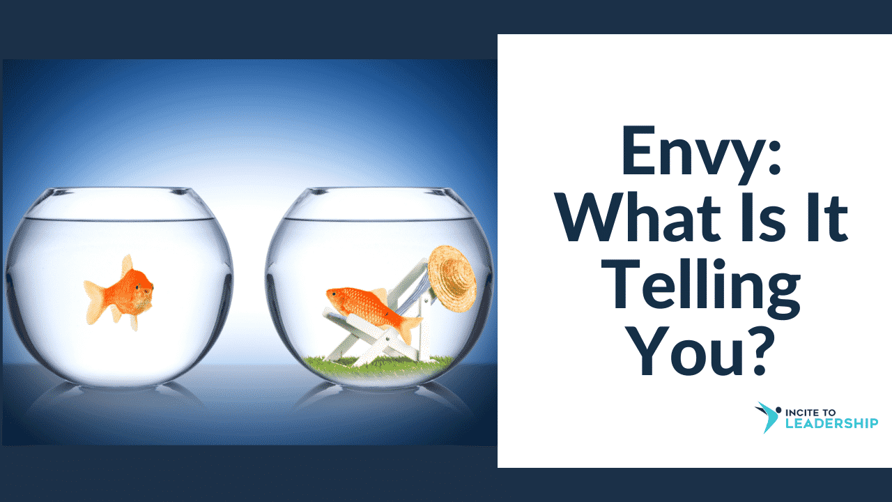Jo Ilfeld | Executive Leadership Coach | Envy: What is it Telling You?