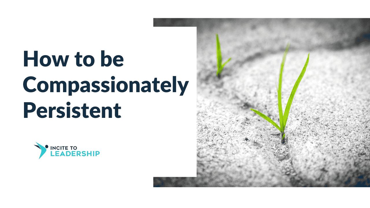 Jo Ilfeld | Executive Leadership Coach | How to be Compassionately Persistent