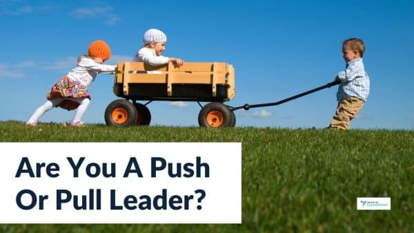 For this article by Jo Ilfeld, Executive Leadership Coach on leadership style, the image shows a push cart, with a boy sitting inside, and one girl pushing and another pulling the cart.