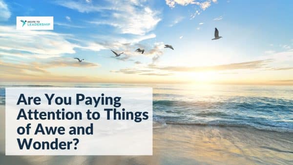 For this article by Jo Ilfeld, Executive Leadership Coach on paying attention, the image shows a sky over the sea with birds.