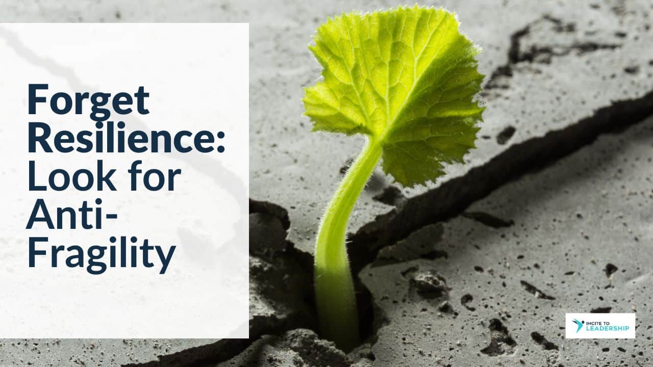 For this article by Jo Ilfeld, Executive Leadership Coach on resilience the image shows a tiny shoot growing up between cracks in the concrete.